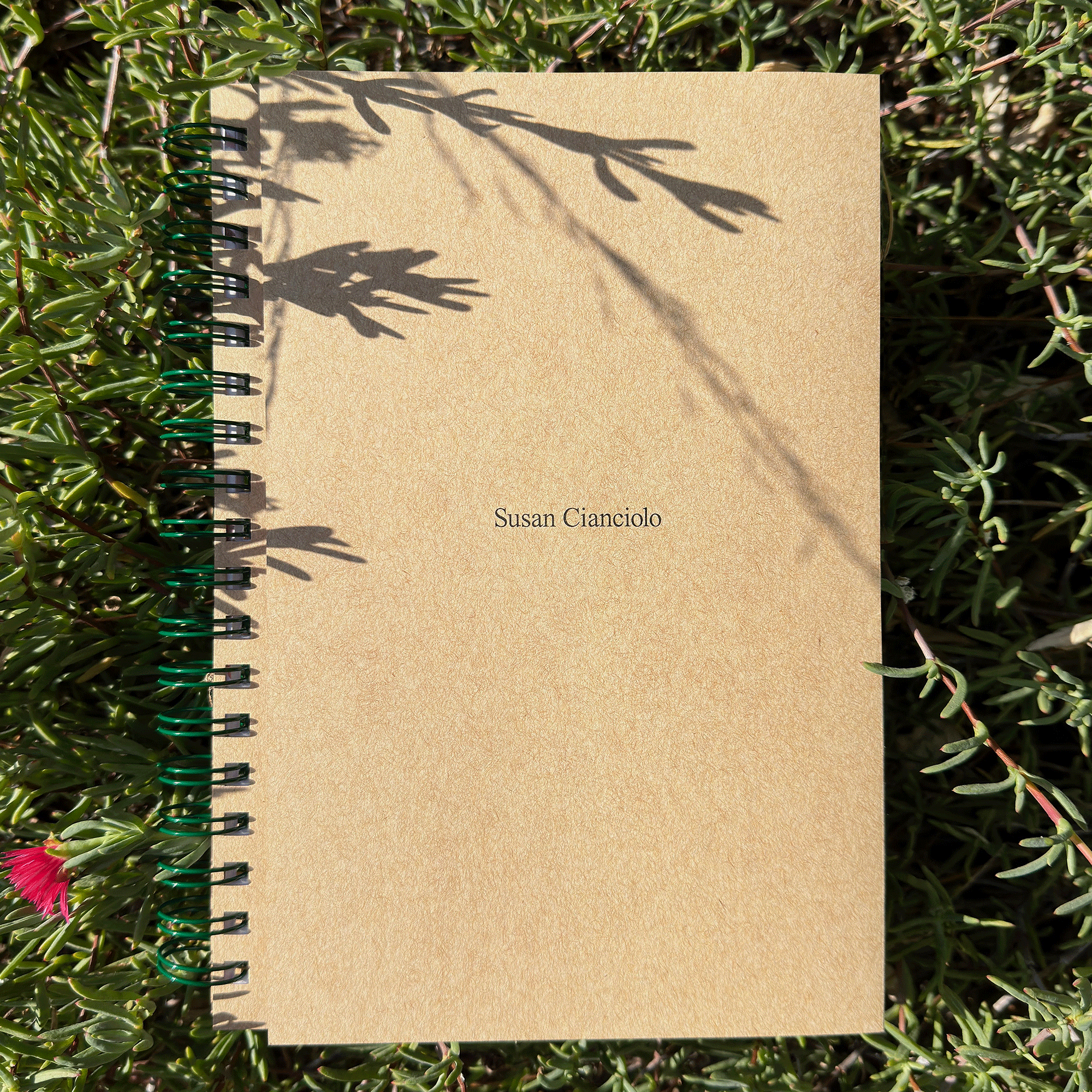 Tell Me When You Hear My Heart Stop, published by Tutto, Inc