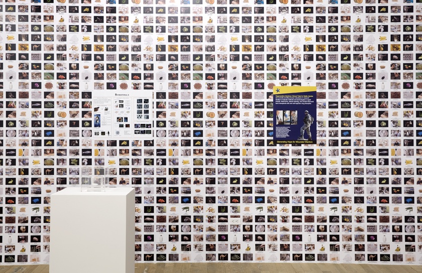 Installation view of ‘Lynn Hershman Leeson: Origins of the Species’ - February 19th to April 5th, 2015