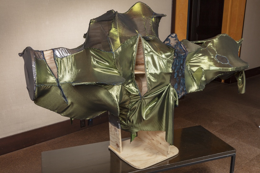 Body with Electric Skin, Horizontal Shelf, 2018