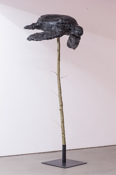 Transformational Joy, 2014