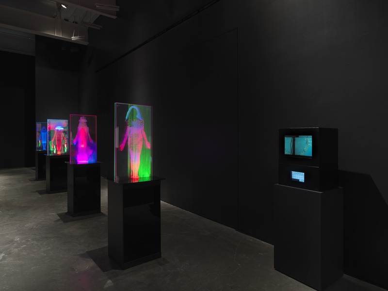 Lynn Hershman Leeson: Twisted, 2021. Exhibition view: New Museum, New York