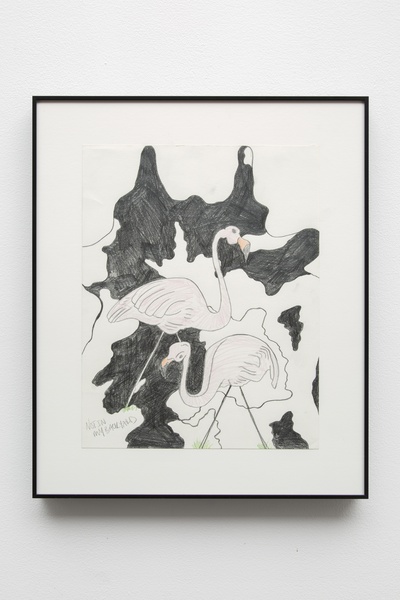 Pink Flamingos Always Fascinated Me, 2016