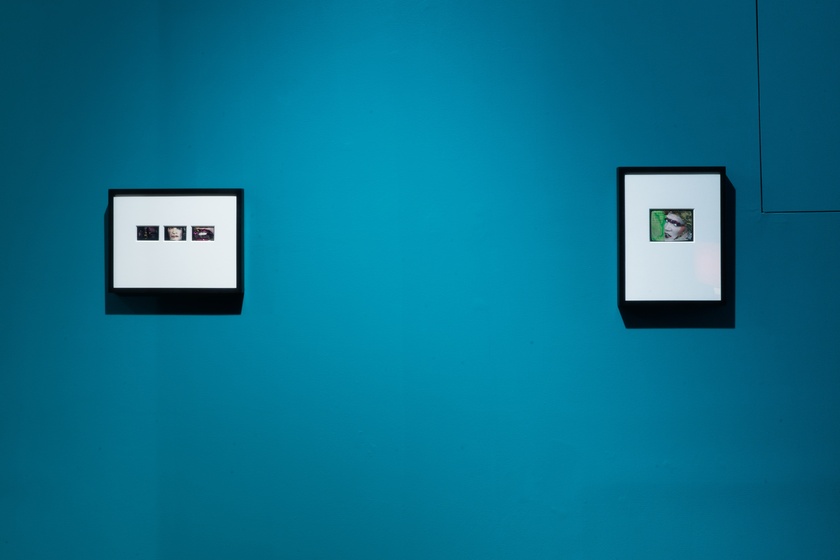 Installation View: Lorna, 1979-1984