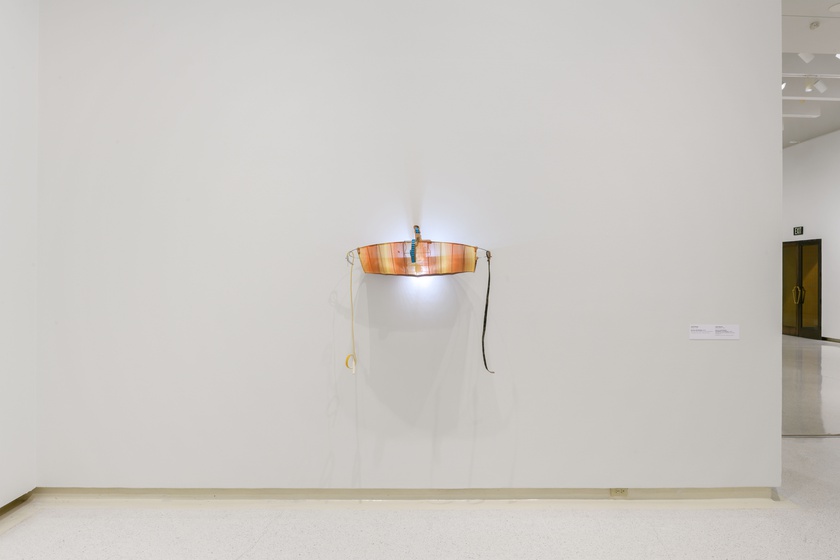 Installation View, Wild Life: Elizabeth Murray & Jessi Reaves, Carnegie Museum, Pittsburgh, September 3, 2021 - January 9, 2022