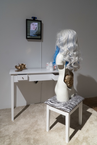 Installation View: Venus of the Anthropocene, 2017