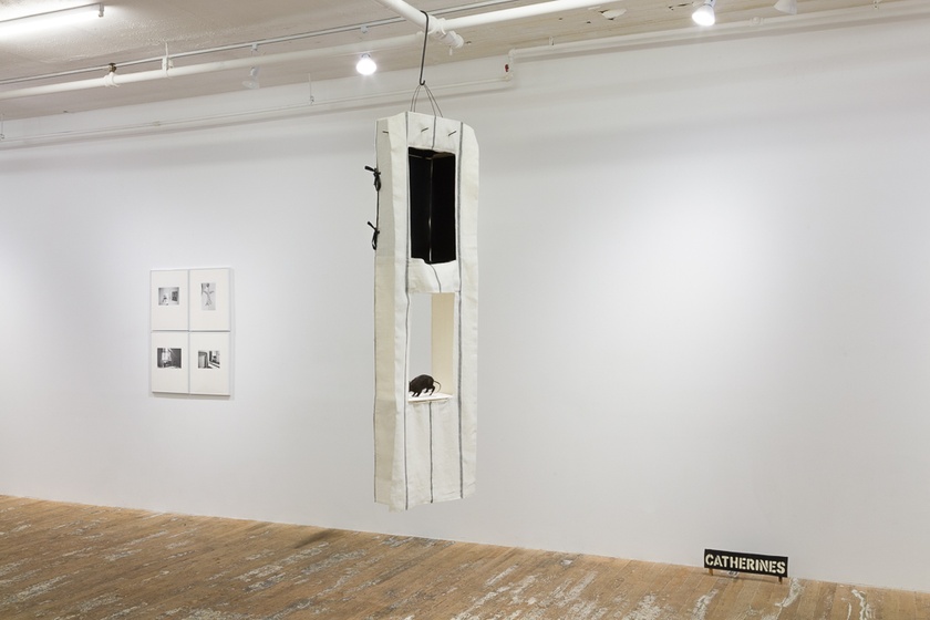 Hervé Guibert, Anne Chu, Rosemary Mayer