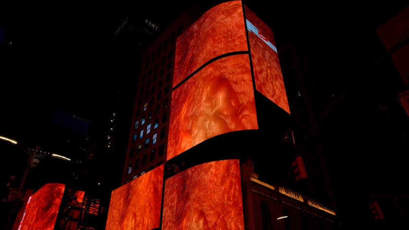 Flesh Wall, 2016-2020 