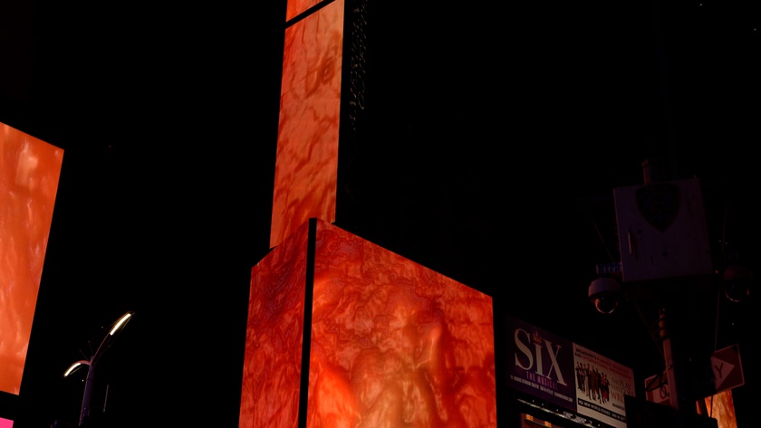 Flesh Wall, 2016-2020 