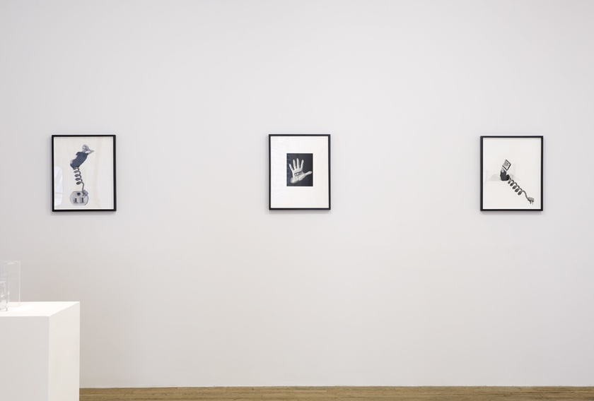 Installation view of ‘Lynn Hershman Leeson: Origins of the Species’ - February 19th to April 5th, 2015