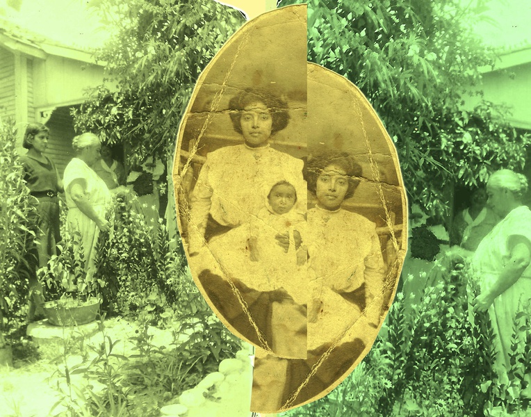 Shape of Artifact Time, 2024