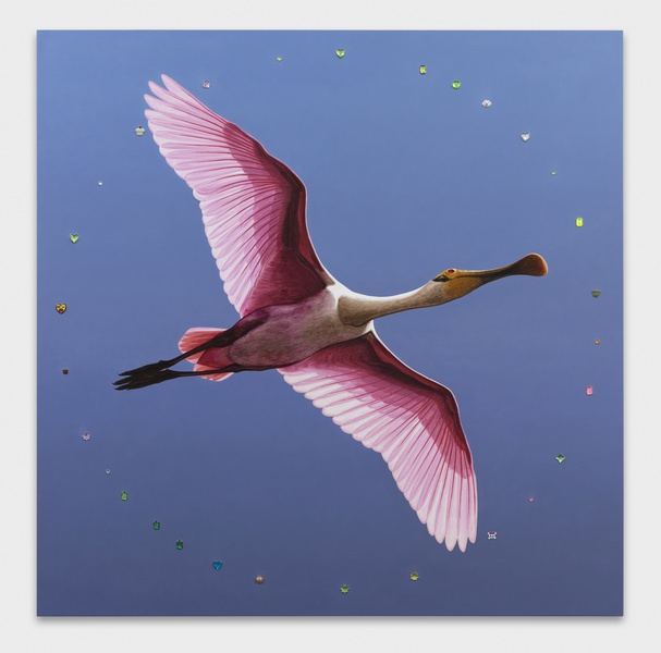 Roseate Spoonbill with Nimbus, 2017
