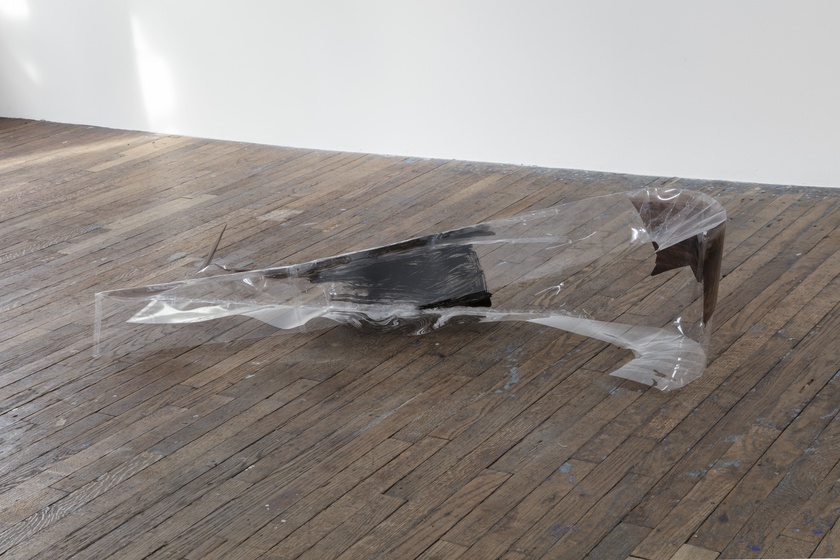 Installation view, photo by Gregory Carideo