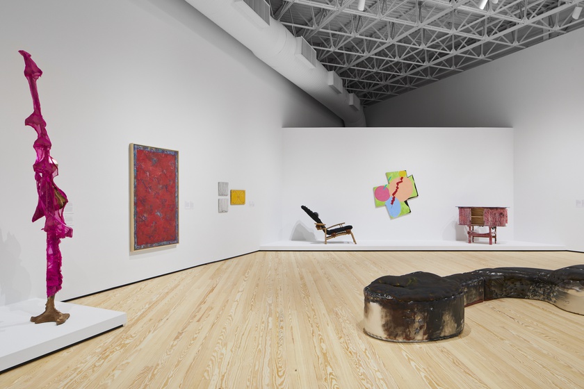 Installation view, Wild Life: Elizabeth Murray and Jessi Reaves, Contemporary Arts Museum Houston, Texas, January 21 -May 16, 2021 