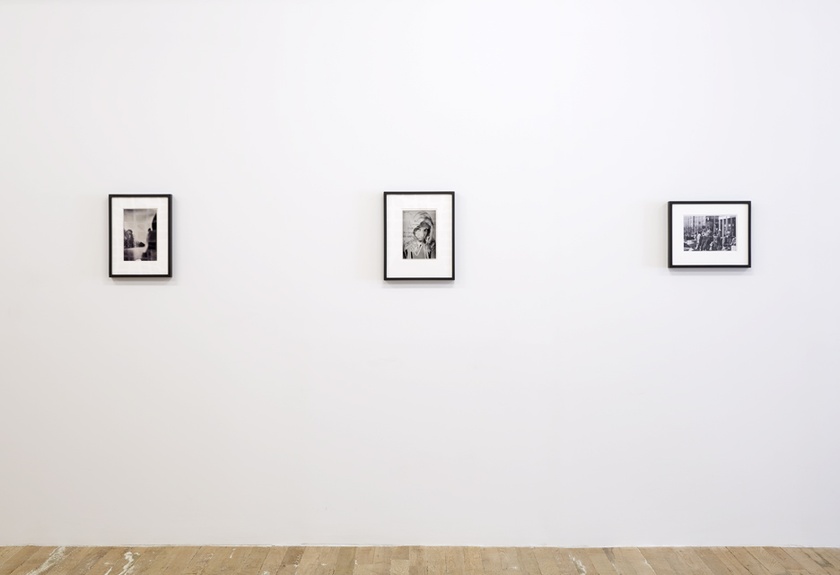 Installation view of ‘Lynn Hershman Leeson: Origins of the Species’ - February 19th to April 5th, 2015