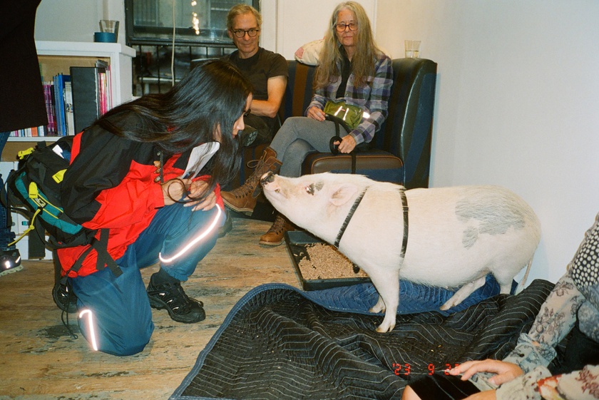 Book Celebration: The Animal Within, edited by Manuela Ammer and Ulrike Müller, with support from ACFNY