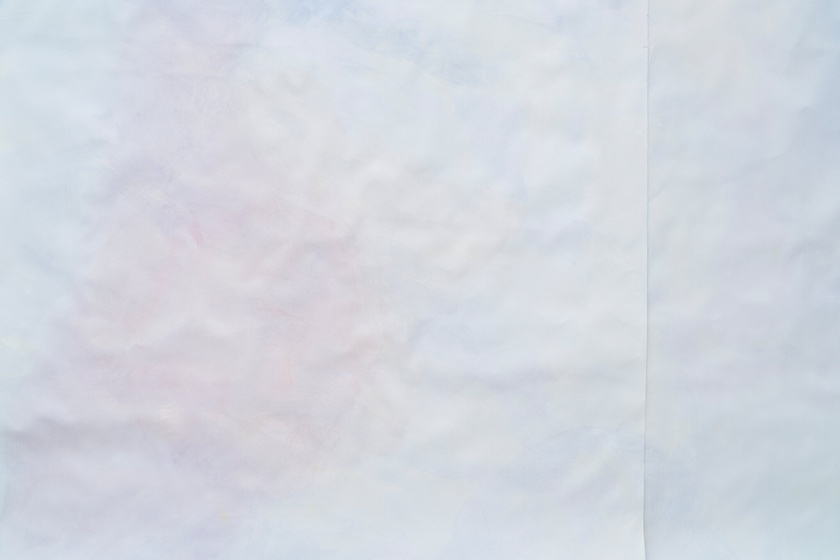 Leaflet, 2024 (detail)