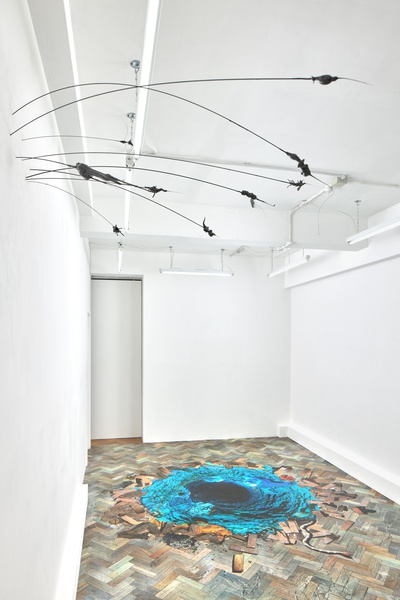 Installation view