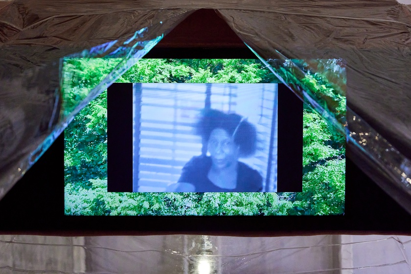 Lineage for a Phantom Zone, 2020-2022