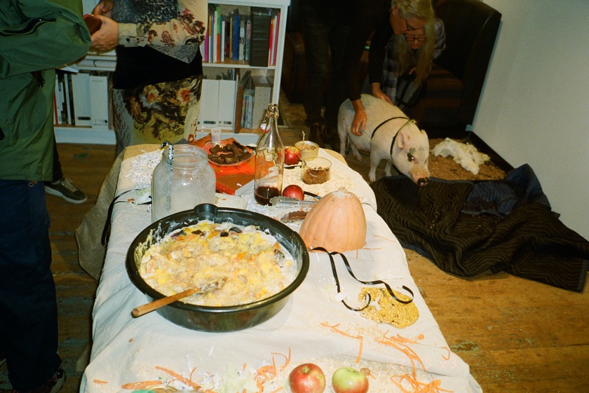 Book Celebration: The Animal Within, edited by Manuela Ammer and Ulrike Müller, with support from ACFNY