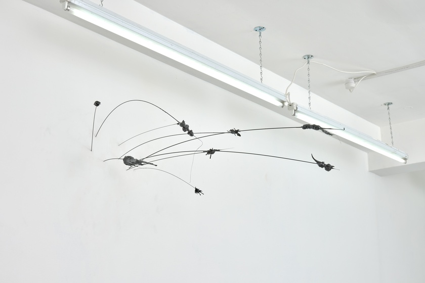 Installation view