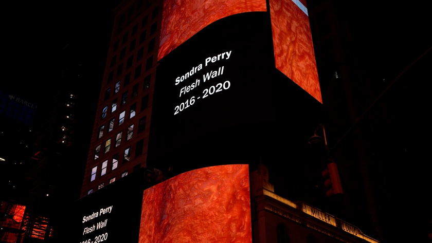 Flesh Wall, 2016-2020 