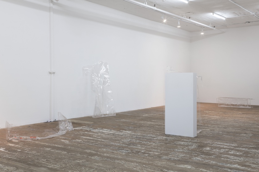 Installation view, photo by Gregory Carideo