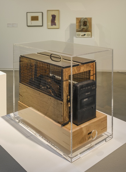 Caged Woman, 1965
