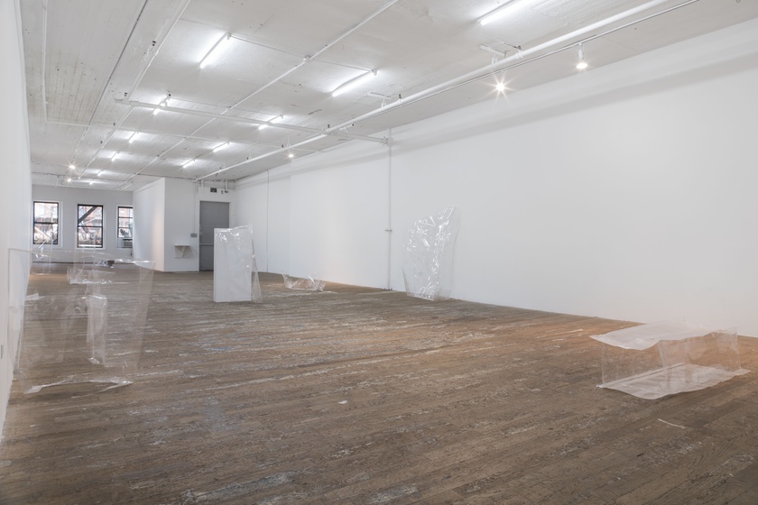 Installation view, photo by Gregory Carideo