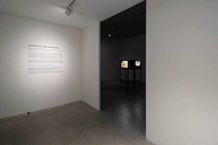 Installation view, MIT List Visual Arts Center, List Projects, Cambridge, Massachusetts, January 8 - February 10, 2019 