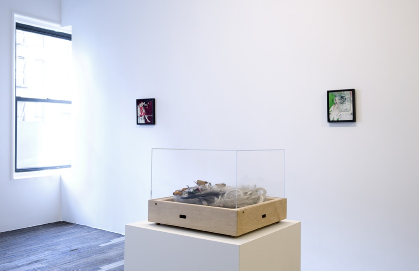 Installation view of ‘Lynn Hershman Leeson: Origins of the Species’ - February 19th to April 5th, 2015