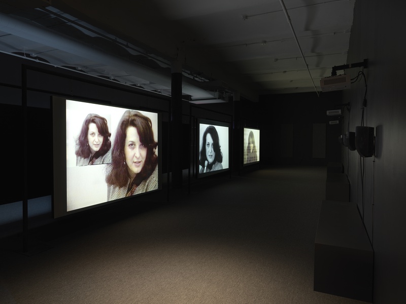 Lynn Hershman Leeson: Twisted, 2021. Exhibition view: New Museum, New York