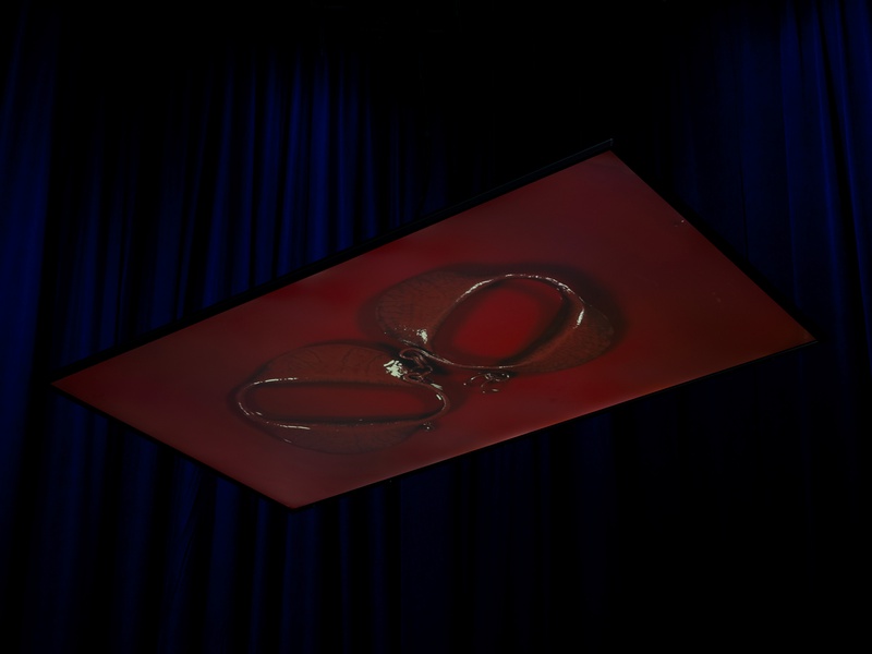 you out here look n like you don't belong to nobody: heavy metal and reflective, 2019