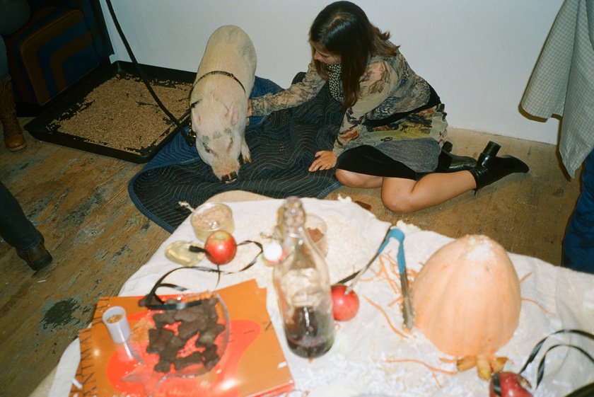 Book Celebration: The Animal Within, edited by Manuela Ammer and Ulrike Müller, with support from ACFNY