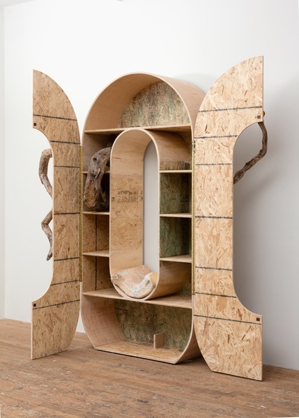 Cabinet for Rotten Log, 2016