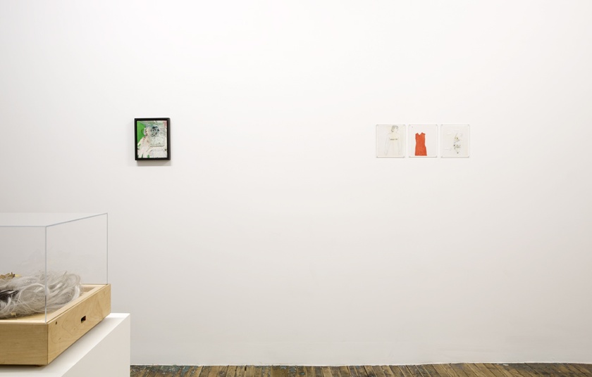 Installation view of ‘Lynn Hershman Leeson: Origins of the Species’ - February 19th to April 5th, 2015