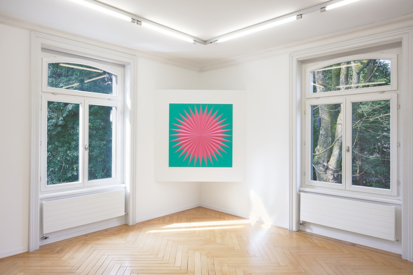 Installation view