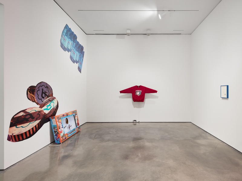 Installation view, Martine Syms: Grio College, Hessel Museum of Art at Bard, June 25 - November 27, 2022