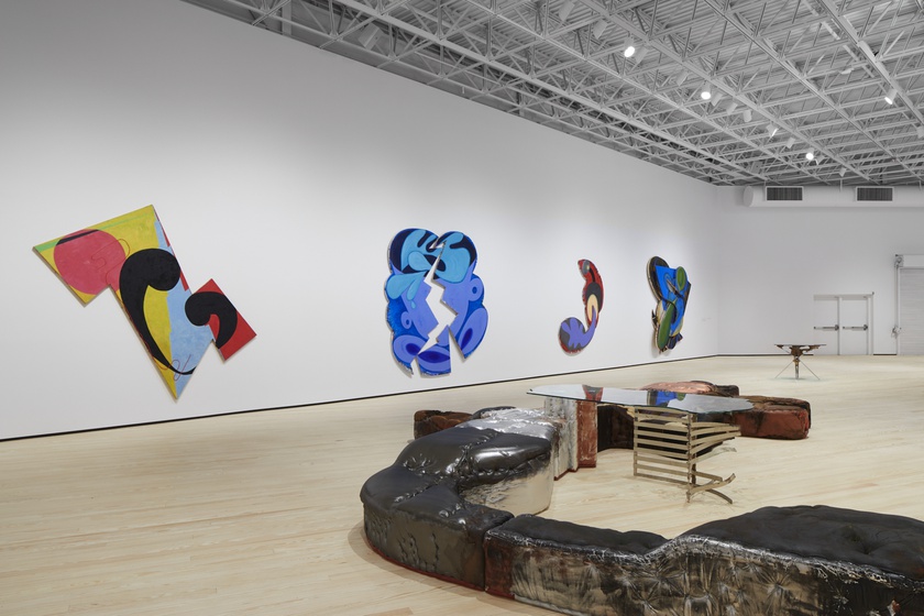 Installation view, Wild Life: Elizabeth Murray and Jessi Reaves, Contemporary Arts Museum Houston, Texas, January 21 -May 16, 2021 
