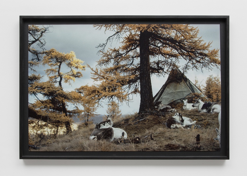 Zelt der Ergtseg / Dolma Familie in der südlichen Taiga [Tent of the Ergtseg / Dalma family in the southern taiga], 1990