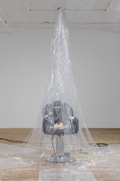 GLITTER AND THE LION'S MANE, 2020, 2021, 2022, 2023,1.8 Ga  Barbershop chair, urethane, acrylic, glitter, iron, lion's mane mushrooms, motor  45 × 26 × 36 in. (114.30 × 66.04 × 91.44 cm)