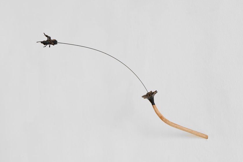 Installation view, John Russell: CAVAPOOL, Kölnischer Kunstverein, Cologne, Germany, August 20 - October 16, 2022