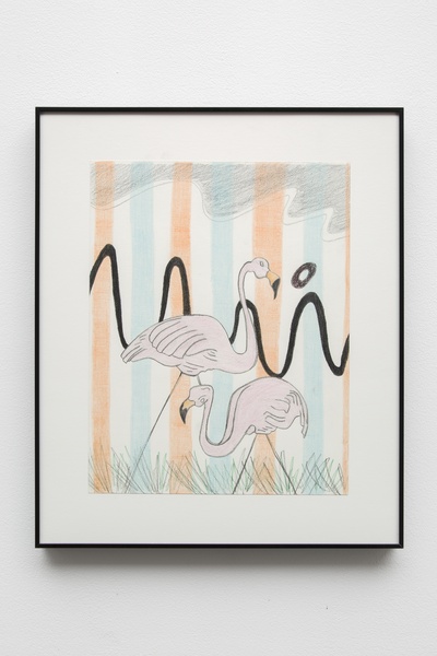 Pink Flamingos, 2016