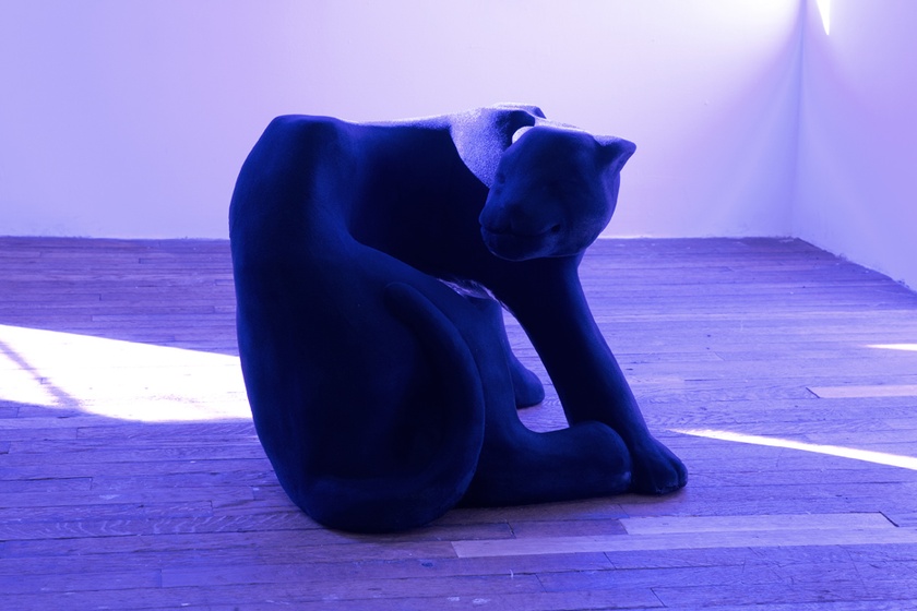 Black Panthers, 2015