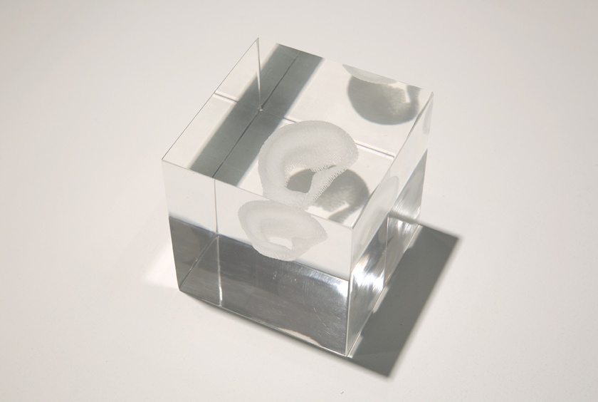 Installation view of ‘Lynn Hershman Leeson: Origins of the Species’ - February 19th to April 5th, 2015