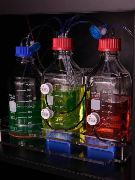 Lynn Hershman Leeson