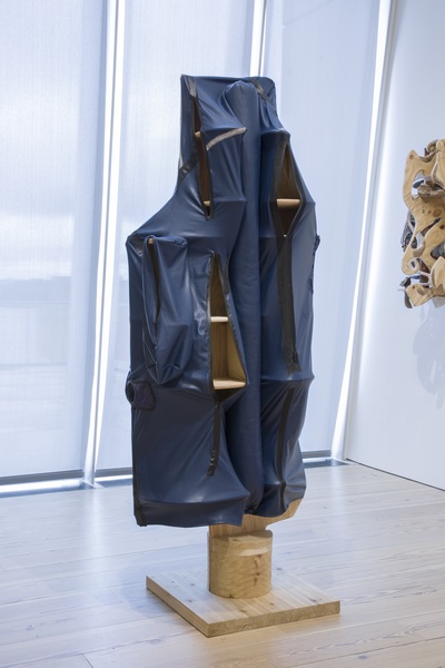 Watertight Shelf with Zippers, 2017