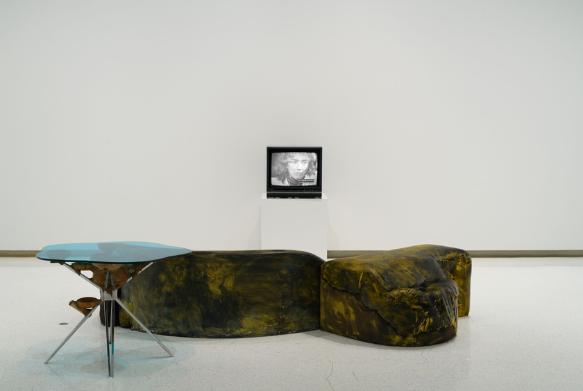 Installation View, Wild Life: Elizabeth Murray & Jessi Reaves, Carnegie Museum, Pittsburgh, September 3, 2021 - January 9, 2022