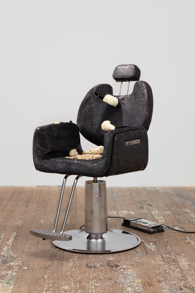 couch and fern, GLITTER AND THE LION'S MANE, 2020, 2021, 2022, 2023, 1934, 1.8 Ga (detail)