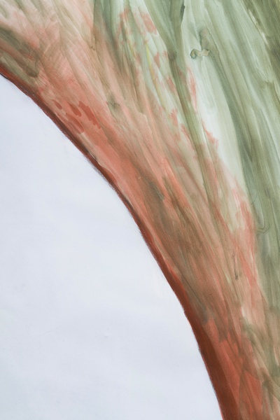 Leaflet, 2024 (detail)