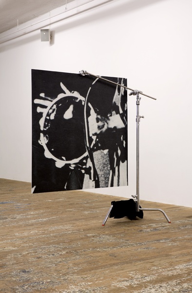 Natural Elevated Forwards, 2015